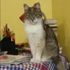 Отзыв от Яна Федосова